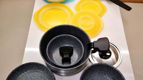 Leo – NATURE and YOU