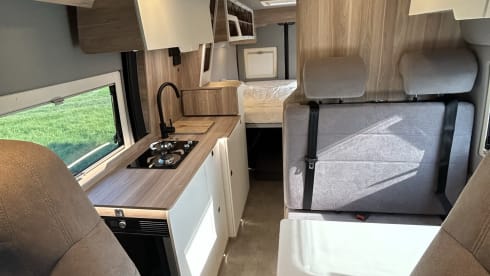 Großer Premium Hannes – Hannes Camper - Large Hannes Camper