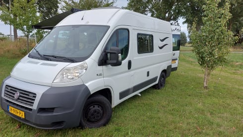 Black edition – Fiat ducato 2p bus camper