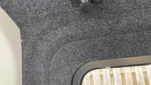 David – 4 berth Volkswagen campervan from 2021