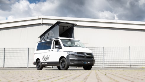 Zandhaas  – Sporty