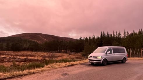 SM Campers – 4 berth VW Camper 2018