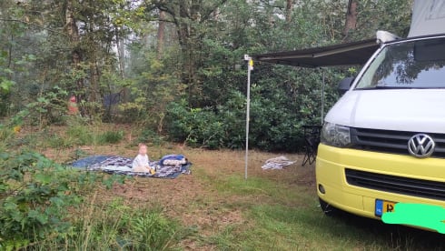 Summer yellow – 4 person campervan with cozy new Woodpecker installation
