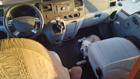 Very spacious family motorhome, 6 seats with belts