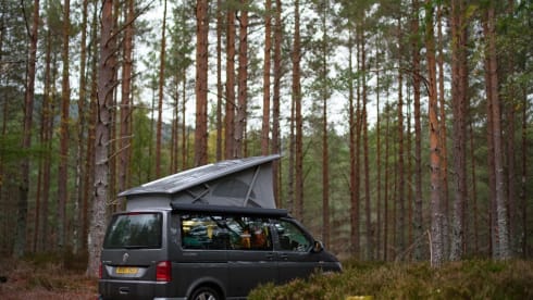 Gandalf the Grey – 4 berth Volkswagen campervan from 2017