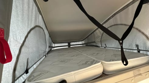 Es Vedra – Roller Team Livingstone 2 automatico 2+1 posti letto 2025