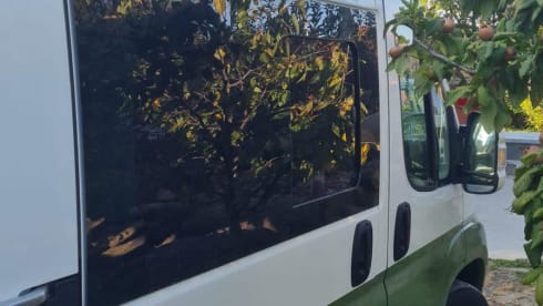 Ollie – 2p Peugeot bus from 2014