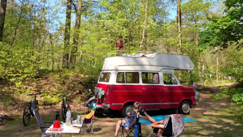 Tijdelijk onbruikbaar: Lady in Red – Nostalgic on the road