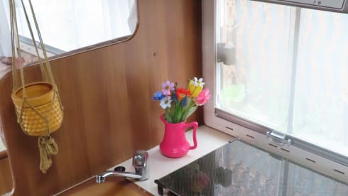 De Roze Olifant – Spacious family camper - 7p Ford alcove from 1998 