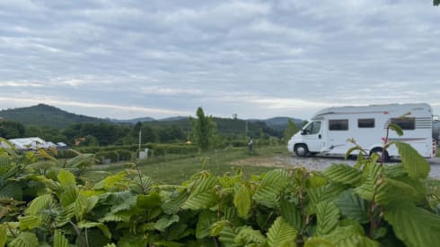 4p Carado semi-integrato dal 2011