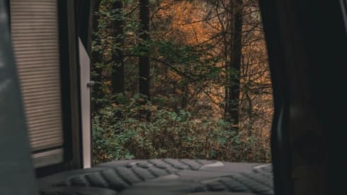 Swampy – Volkswagen Transporter T6 Campervan (4 Berth)