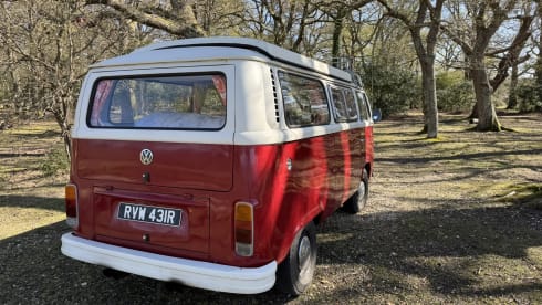 Rosie – Take me out for a retro adventure with your friends, family and pets