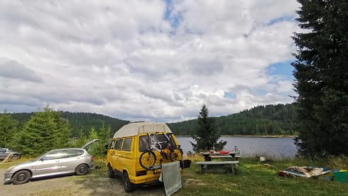 Sunny – 2p Volkswagen campervan from 1981