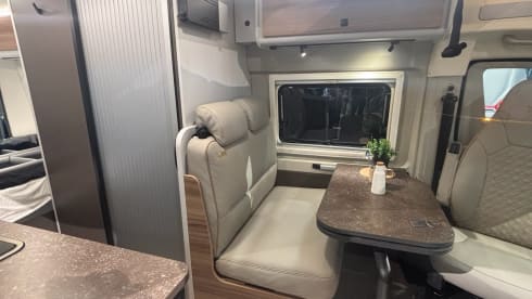 4 berth Bürstner bus from 2026