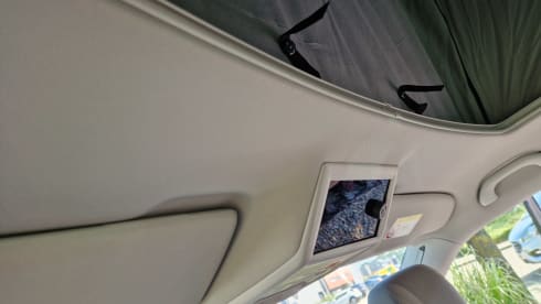T-zes – 2p Volkswagen campervan from 2020