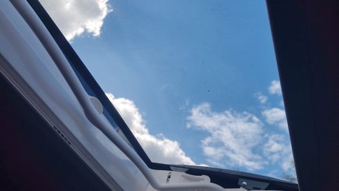 Sneeuwwitje  – Omgebouwde Renault Master 2018