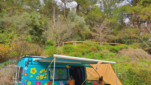 scua – Odysseus on Tour