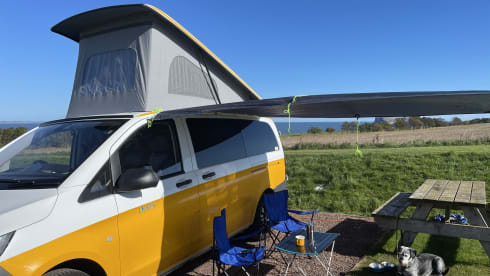 Doris – Fancy Doris? MB Vito Campervan!