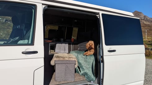 Holly  – 4 berth Volkswagen Campervan 