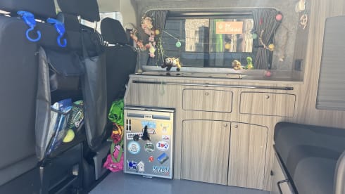 Claude – 4 berth Volkswagen campervan from 2015