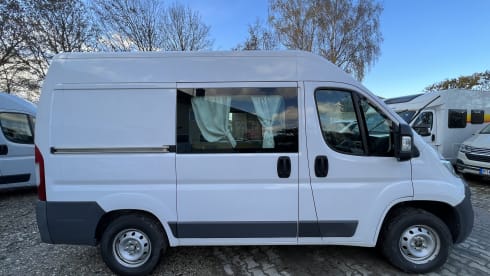 Horst – Fiat Ducato Multijet, panel van