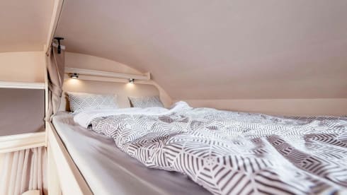 Ahörnchen – Maple Eco683 