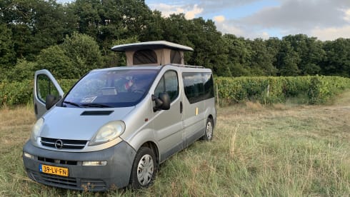 Viv – Handy and complete bus camper