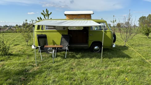 The Hulk – Westfalia – Beautiful Classic Camper For Rent! 