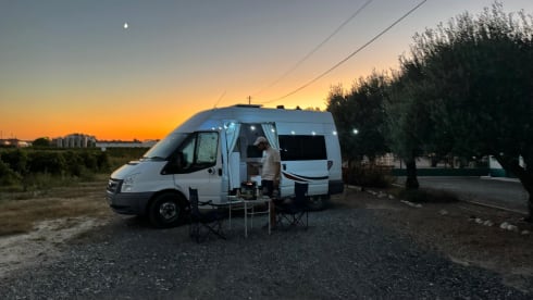 Fern the Ford Transit – 🚐✨ Meet Fern – Your Home on Wheels for the Ultimate Getaway! ✨🚐