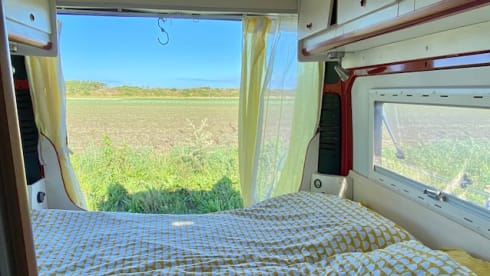 Cozy Fiat Ducato camper van