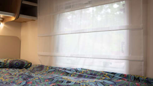 Franky – Rent Me:)