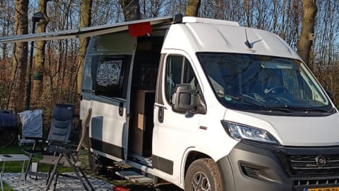 2p Niesmann + Bischoff bus from 2022