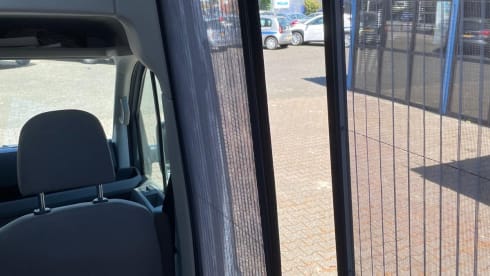 3p Volkswagen bus uit 2020