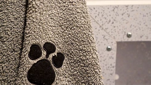 Pablo – Autobus Peugeot 5 places de 2018