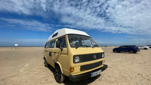 Frieda – Frieda the Automatic VW T25 Campervan
