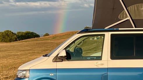 Original VW California