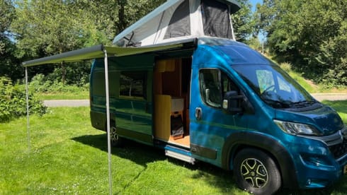 Lovely Hymer bus camper (with lifting roof?!)