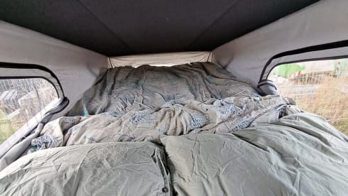 Dolomiti – 4p Volkswagen bus from 2017
