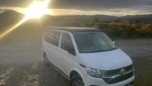 Bella's Bus – VW Camper, T6.1