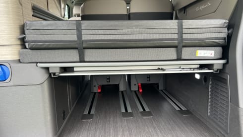 VW California Ocean T7 (2026) blauw-wit