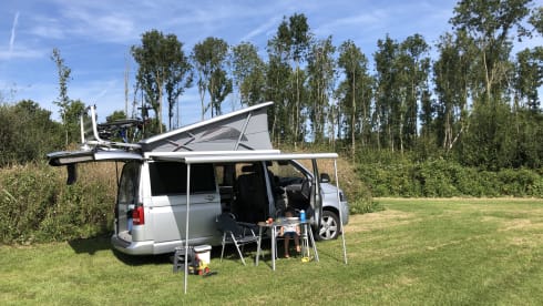 Wali – 4p Volkswagen campervan from 2010