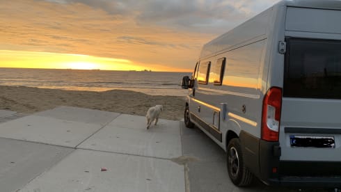 2p Fiat bus from 2018