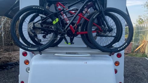 Molly – 6 berth Peugeot Majestic 