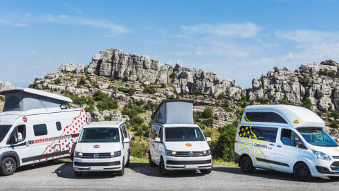 "CARMELA" VW T6 CALI BEACH CAMPER – Flamenco Campers, Rent a camper, explore Andalusia.