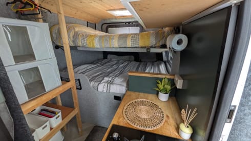 Autobus Fiat a 4 posti letto del 2015