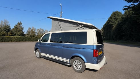 Bluebell  – Combi VW Bluebell 