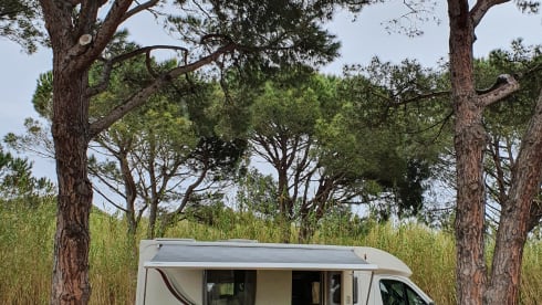 Beautiful luxury and compact (6.40 meters) motorhome with everything you wish for...