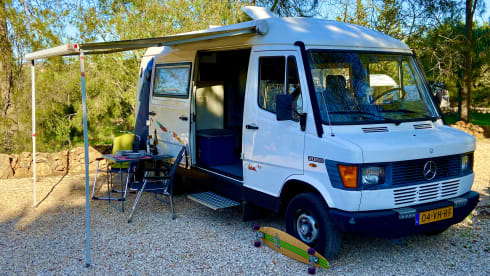 Arnold Mercedes 208D