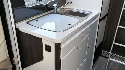 AUTOMATIC - Roller Team Kronos 291TL Ford