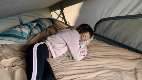 Bluebell – VW T5 pop top 4 posti letto.